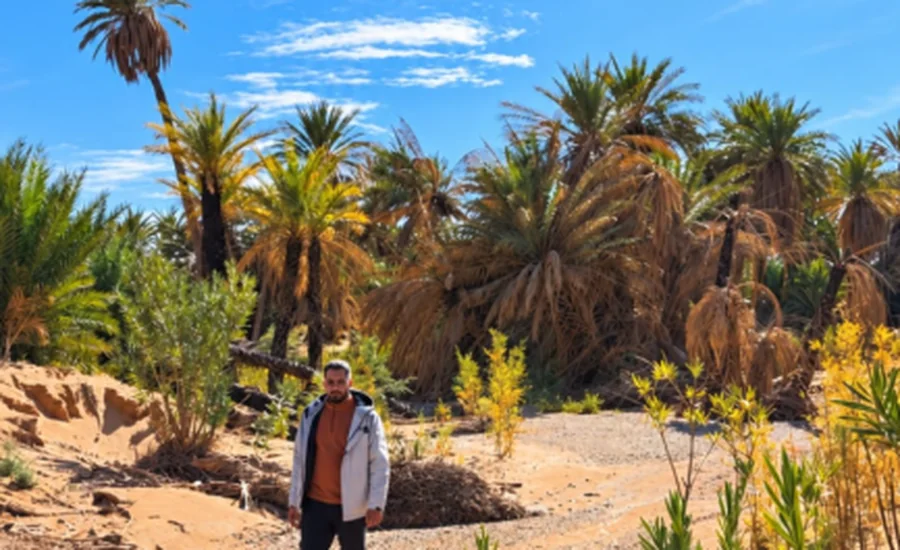 Safsaf Oasis near Merzouga