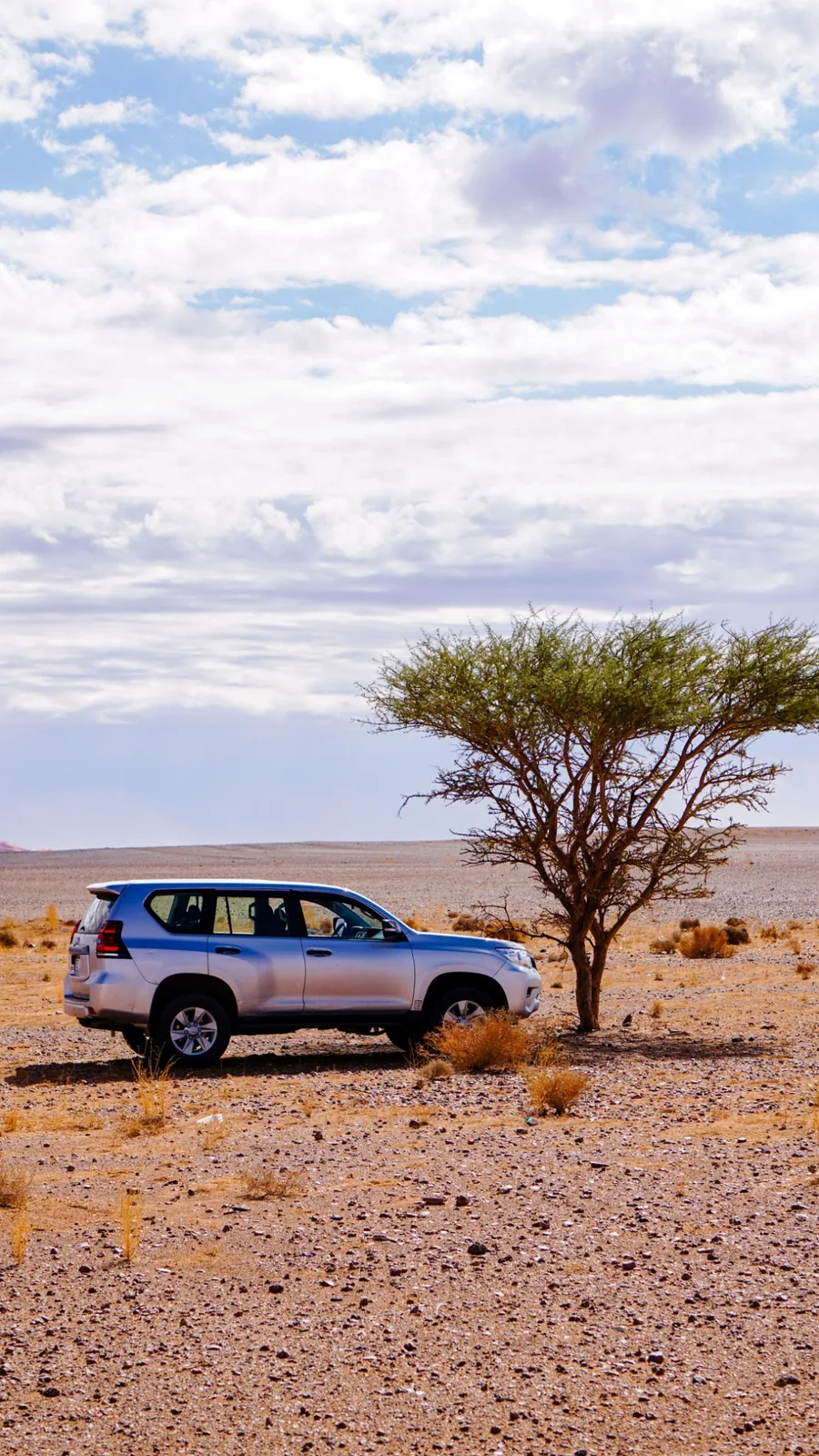 4x4 beside an acacia tree in the Sahara