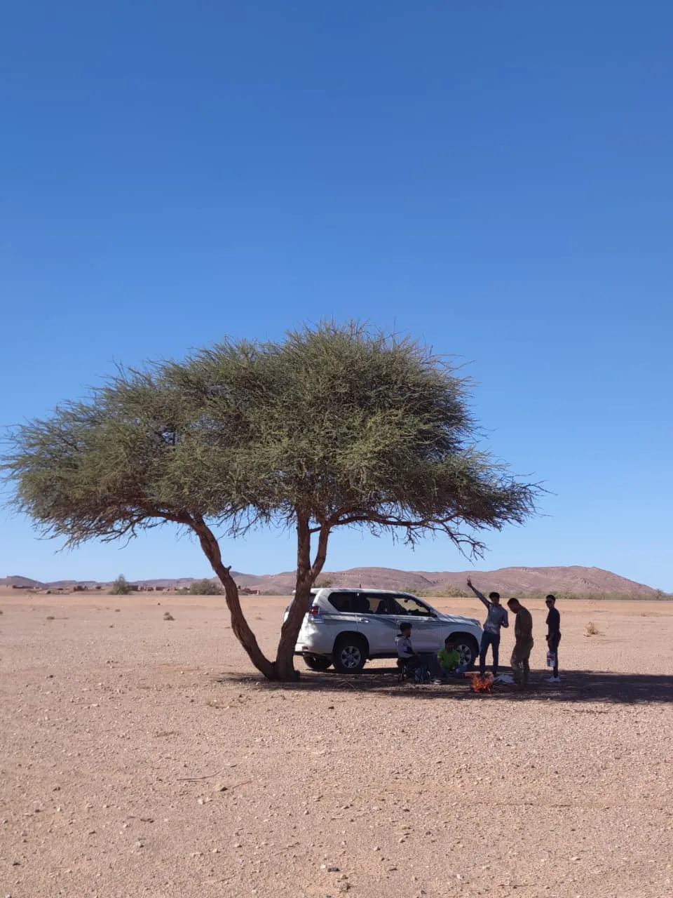 4x4 stop beneath an acacia tree in the desert